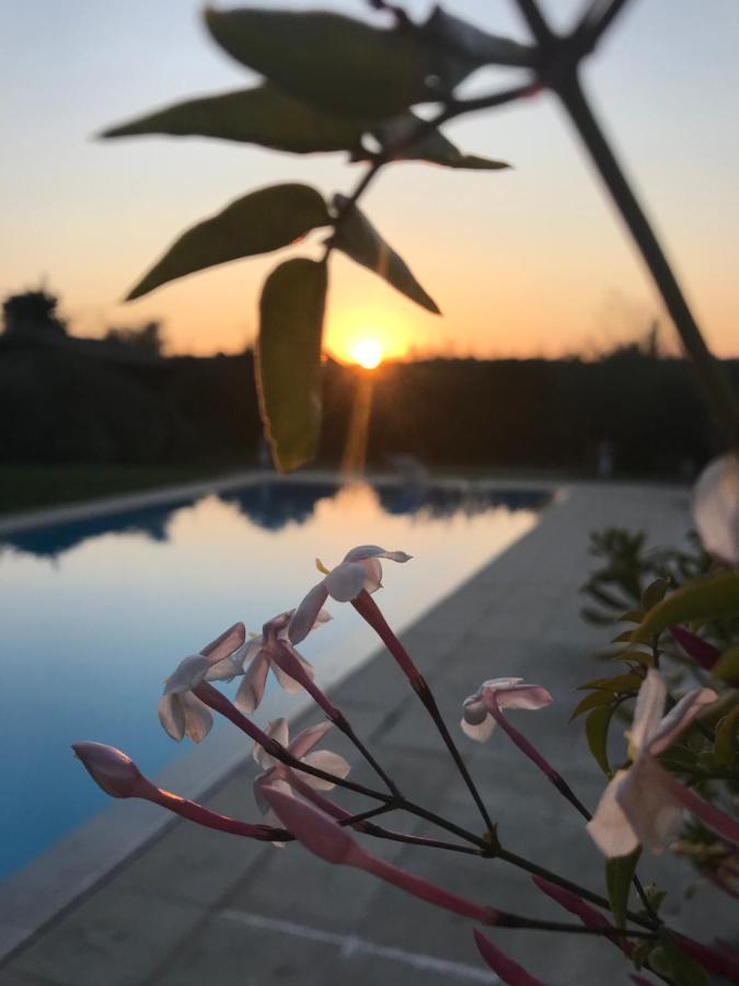 ムジャン Le Mas De La Source Bed & Breakfast エクステリア 写真